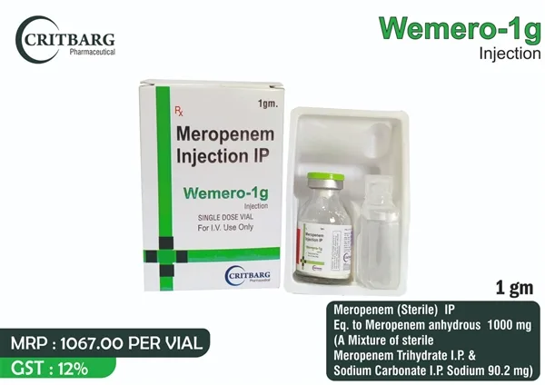 WEMERO-1 GM