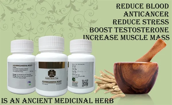 Herbal Superfood <span>Nutrition Powder</span>
